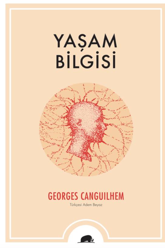 Haftanın seçkisi: 'Karmaşık Duygular'dan 'Yaşam Bilgisi'ne... 4